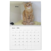 2026 Katten van het Oklahoma City Animal Shelter Kalender (Mar 2026)