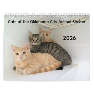 2026 Katten van het Oklahoma City Animal Shelter Kalender