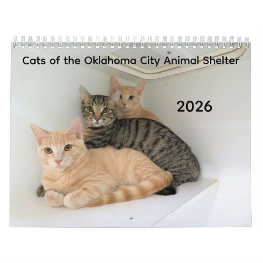 2026 Katten van het Oklahoma City Animal Shelter Kalender (Hoes)