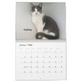 2026 Katten van het Oklahoma City Animal Shelter Kalender (Jan 2026)