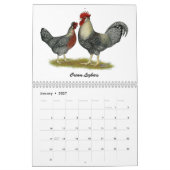 2026 Kippenkalender Kalender (Jan 2027)