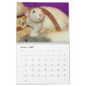 2026 Knaagdier Lezer Kalender H (Jan 2027)