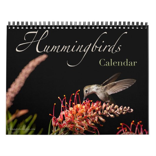 2026 Kolibrie Muurkalender Kalender (Hoes)