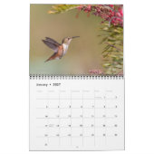 2026 Kolibrie Muurkalender Kalender (Jan 2027)