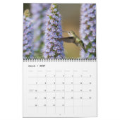 2026 Kolibrie Muurkalender Kalender (Mar 2027)