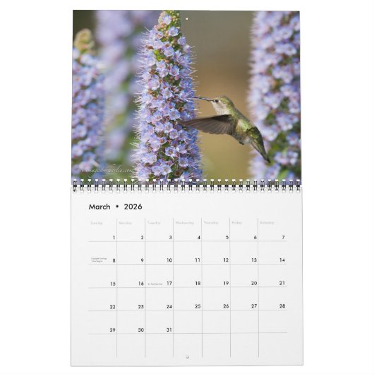 2026 Kolibrie Muurkalender Kalender (Mar 2026)