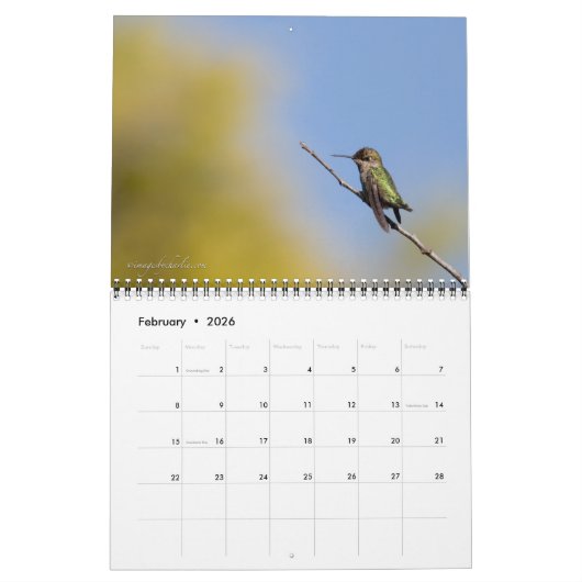 2026 Kolibrie Muurkalender Kalender (Feb 2026)