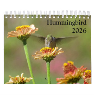 2026 Kolibriekalender Kalender
