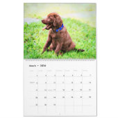 2026 Labrador Retriever Dog Owners Lovers Gift Kalender (Mar 2026)