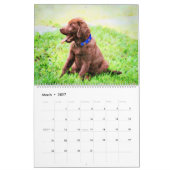 2026 Labrador Retriever Hondenbezitters Liefhebber Kalender (Mar 2027)