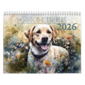 2026 Labrador Retriever Kalender (Hoes)