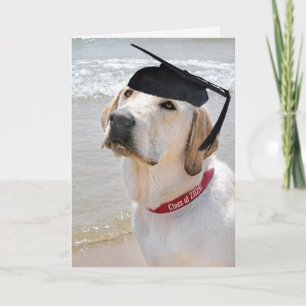 2026 Labrador Retriever Met Afstudeerhoed Kaart