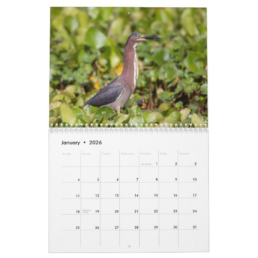 2026 Lake Apoka Wildlife in Florida Kalender (Jan 2026)