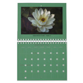 2026 Landschapsfotokalender Kalender (Feb 2027)