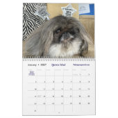 2026 Liz E.'s Pekingeeskalender Kalender (Jan 2027)