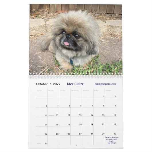 2026 Liz E.'s Pekingeeskalender Kalender (Okt 2027)
