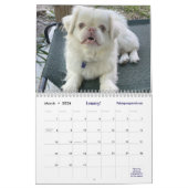 2026 Liz E.'s Pekingese Calendar Kalender (Mar 2026)