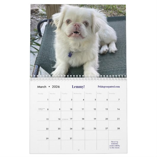 2026 Liz E.'s Pekingese Calendar Kalender (Mar 2026)
