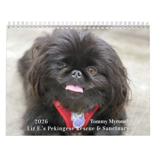 2026 Liz E.'s Pekingese Calendar Kalender (Hoes)