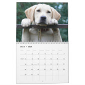 2026 Lovable Labrador Retriever Dog Kalender (Mar 2026)