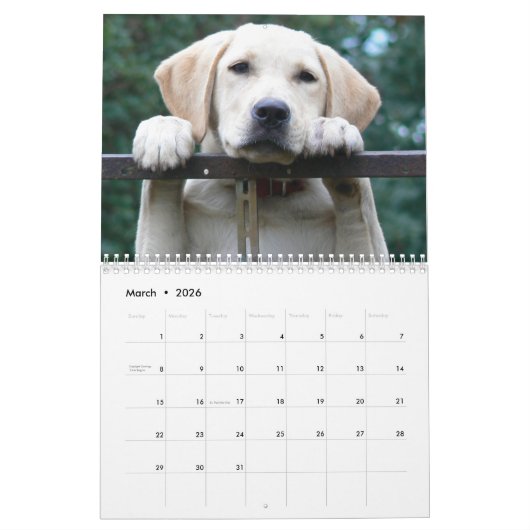 2026 Lovable Labrador Retriever Dog Kalender (Mar 2026)