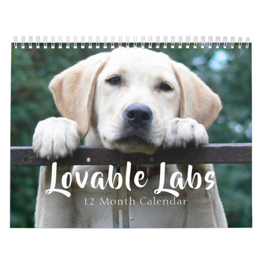2026 Lovable Labrador Retriever Dog Kalender (Hoes)