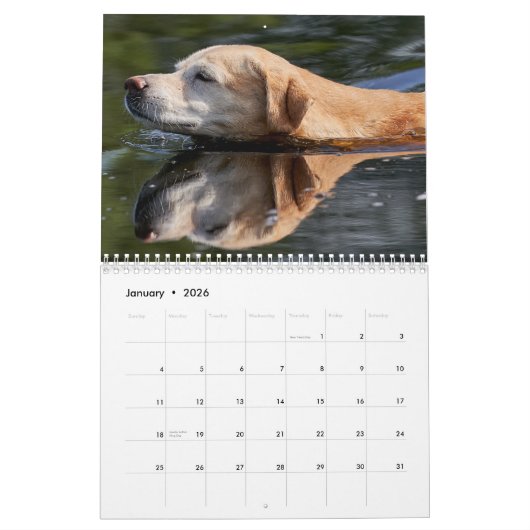 2026 Lovable Labrador Retriever Dog Kalender (Jan 2026)