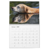 2026 Lovable Labrador Retriever Dog Kalender (Jan 2027)