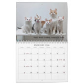 2026 Love & Hisses Calendar - ALL FOSTERS Kalender (Feb 2026)
