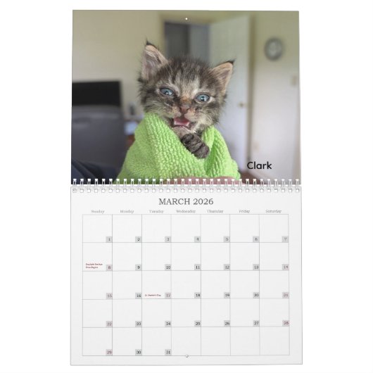 2026 Love & Hisses Calendar - ALL FOSTERS Kalender (Mar 2026)