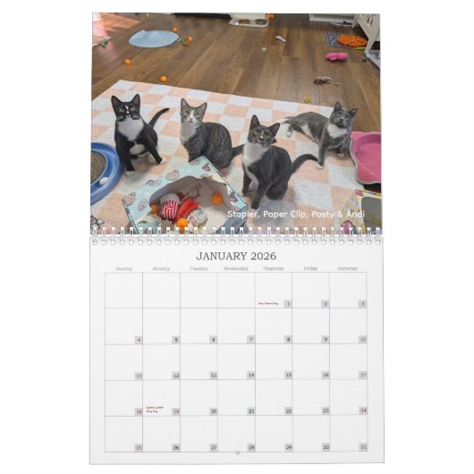 2026 Love & Hisses Calendar - ALL FOSTERS Kalender (Jan 2026)