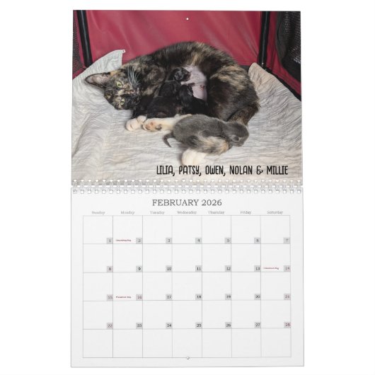 2026 Love & Hisses Calendar - Alphabet Soup Gang Kalender (Feb 2026)
