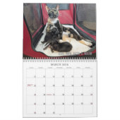 2026 Love & Hisses Calendar - Alphabet Soup Gang Kalender (Mar 2026)