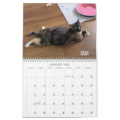 2026 Love & Hisses Calendar - Alphabet Soup Gang Kalender (Jan 2026)