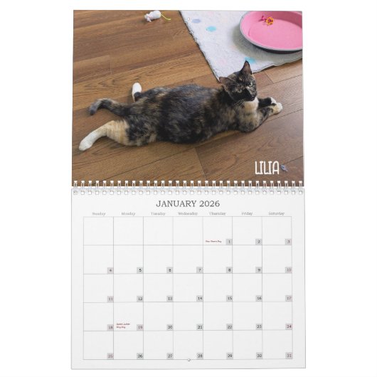 2026 Love & Hisses Calendar - Alphabet Soup Gang Kalender (Jan 2026)