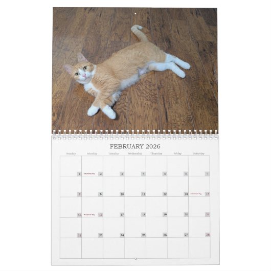 2026 Love & Hisses Calendar - Esmeralda Kalender (Feb 2026)