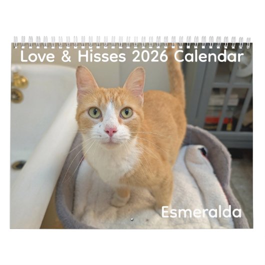 2026 Love & Hisses Calendar - Esmeralda Kalender (Hoes)