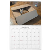 2026 Love & Hisses Calendar - Esmeralda Kalender (Mar 2026)