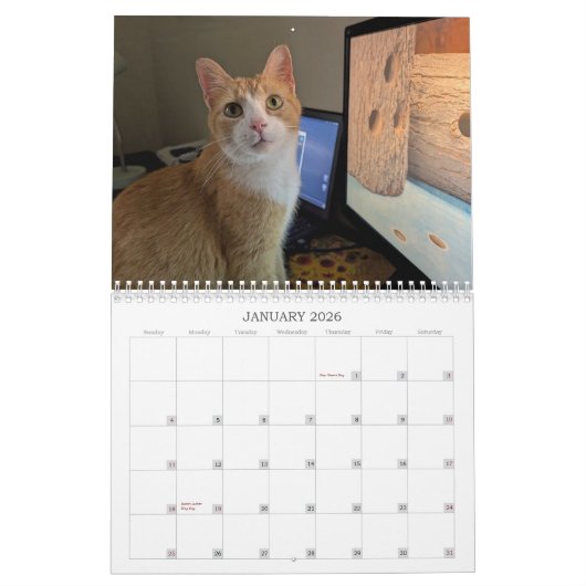 2026 Love & Hisses Calendar - Esmeralda Kalender (Jan 2026)