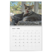 2026 Love & Hisses Calendar - Permanent Residents Kalender (Mar 2026)