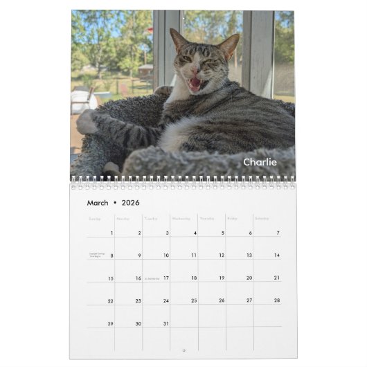 2026 Love & Hisses Calendar - Permanent Residents Kalender (Mar 2026)