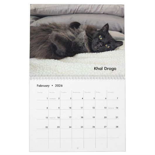 2026 Love & Hisses Calendar - Permanent Residents Kalender (Feb 2026)