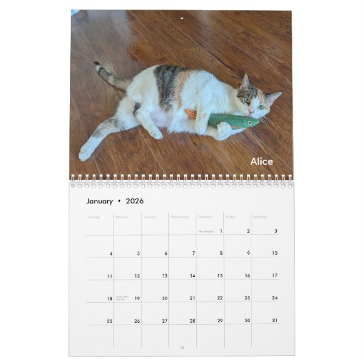 2026 Love & Hisses Calendar - Permanent Residents Kalender (Jan 2026)