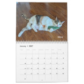 2026 Love & Hisses Calendar - Permanent Residents Kalender (Jan 2027)