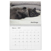 2026 Love & Hisses Calendar - Permanent Residents Kalender (Feb 2027)