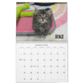 2026 Love & Hisses Calendar - the Britty Bunch Kalender (Mar 2026)