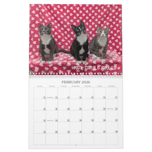 2026 Love & Hisses Calendar - the Foundlings Kalender (Feb 2026)