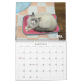 2026 Love & Hisses Calendar - the Foundlings Kalender (Mar 2026)