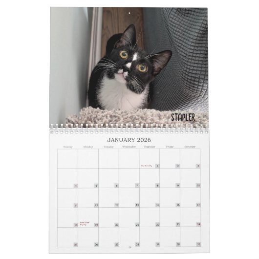 2026 Love & Hisses Calendar - the Foundlings Kalender (Jan 2026)