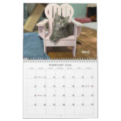 2026 Love & Hisses Calendar - the pink Adirondack Kalender (Feb 2026)